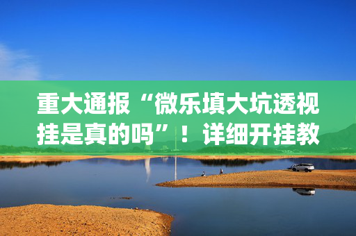 重大通报“微乐填大坑透视挂是真的吗”！详细开挂教程（确实真的有挂)-抖音