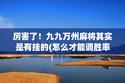 厉害了！九九万州麻将其实是有挂的(怎么才能调胜率)