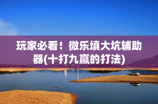 玩家必看！微乐填大坑辅助器(十打九赢的打法)