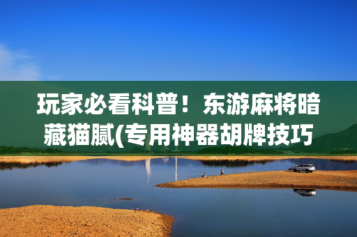 玩家必看科普！东游麻将暗藏猫腻(专用神器胡牌技巧)
