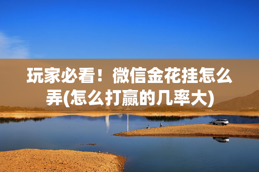 玩家必看！微信金花挂怎么弄(怎么打赢的几率大)