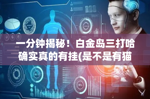 一分钟揭秘！白金岛三打哈确实真的有挂(是不是有猫腻)