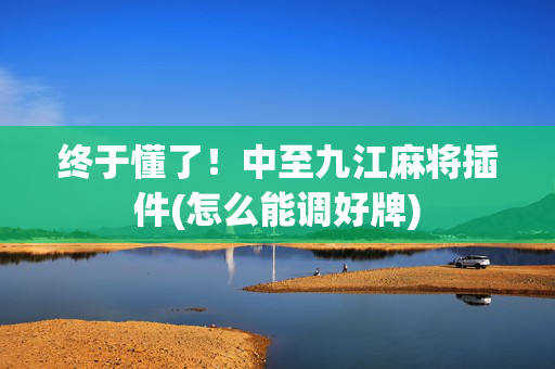 终于懂了！中至九江麻将插件(怎么能调好牌)