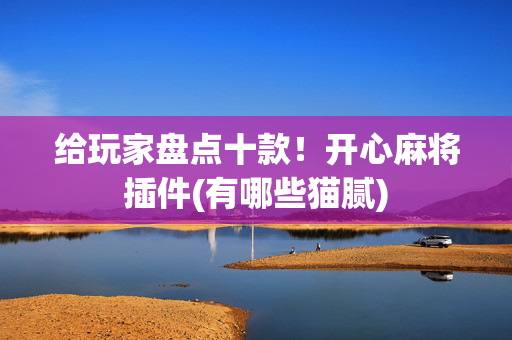 给玩家盘点十款！开心麻将插件(有哪些猫腻)