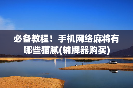 必备教程！手机网络麻将有哪些猫腻(辅牌器购买)