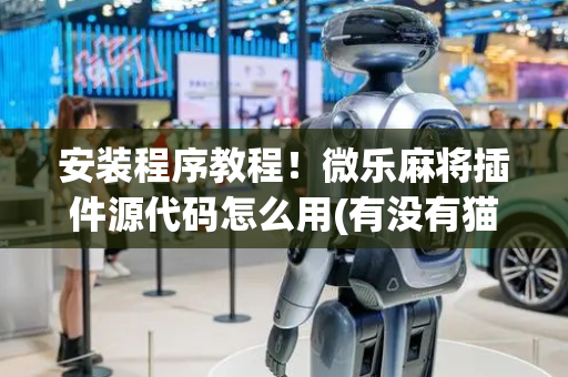 安装程序教程！微乐麻将插件源代码怎么用(有没有猫腻)