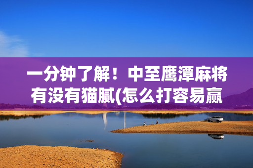一分钟了解！中至鹰潭麻将有没有猫腻(怎么打容易赢)