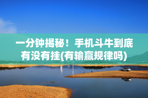 一分钟揭秘！手机斗牛到底有没有挂(有输赢规律吗)