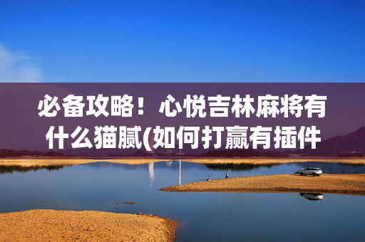 必备攻略！心悦吉林麻将有什么猫腻(如何打赢有插件吗)