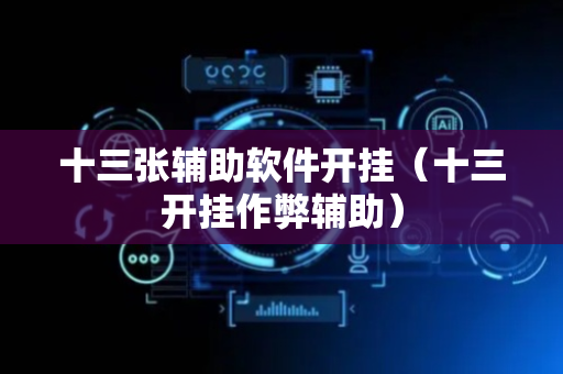 十三张辅助软件开挂（十三开挂作弊辅助）