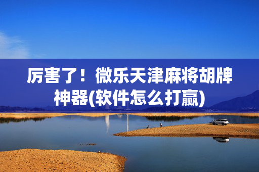 厉害了！微乐天津麻将胡牌神器(软件怎么打赢)