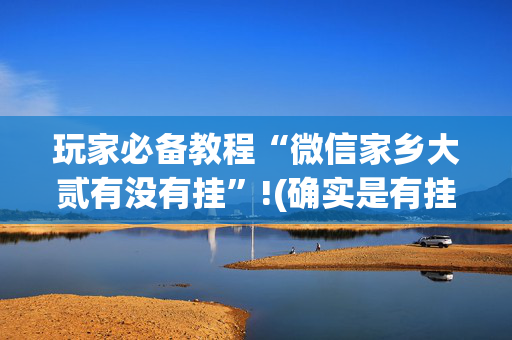 玩家必备教程“微信家乡大贰有没有挂”!(确实是有挂)-抖音