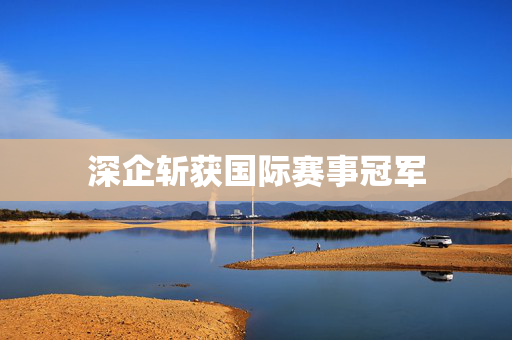 深企斩获国际赛事冠军
