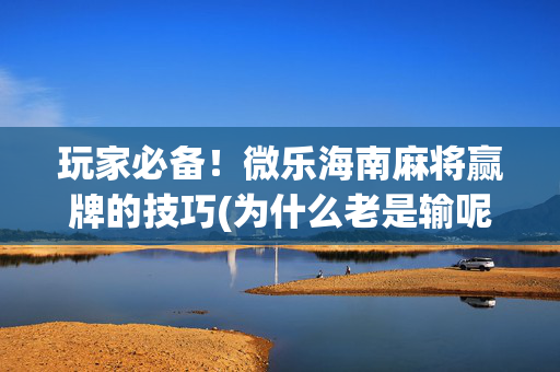 玩家必备！微乐海南麻将赢牌的技巧(为什么老是输呢)