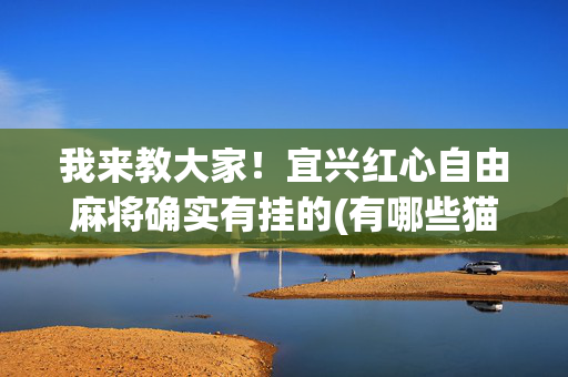 我来教大家！宜兴红心自由麻将确实有挂的(有哪些猫腻)