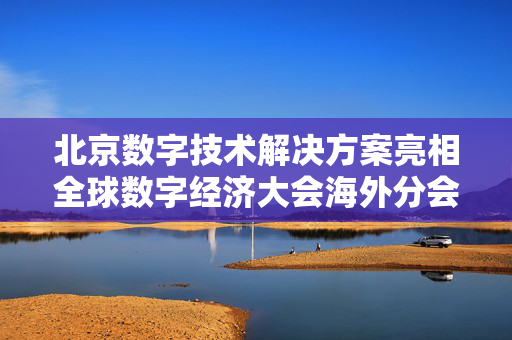 北京数字技术解决方案亮相全球数字经济大会海外分会场