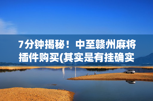 7分钟揭秘！中至赣州麻将插件购买(其实是有挂确实有挂)
