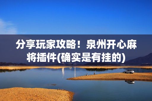 分享玩家攻略！泉州开心麻将插件(确实是有挂的)