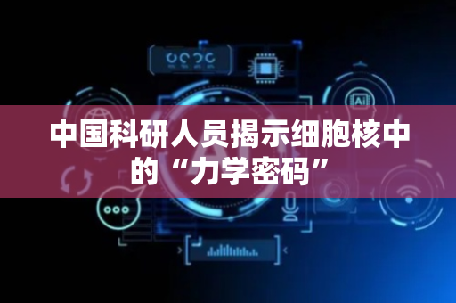 中国科研人员揭示细胞核中的“力学密码”
