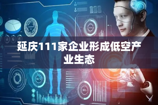 延庆111家企业形成低空产业生态