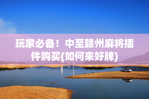 玩家必备！中至赣州麻将插件购买(如何来好牌)