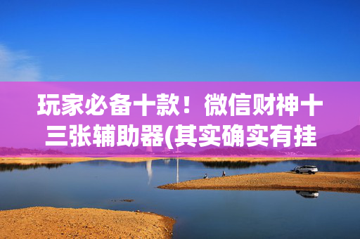 玩家必备十款！微信财神十三张辅助器(其实确实有挂)