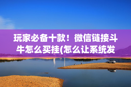 玩家必备十款！微信链接斗牛怎么买挂(怎么让系统发好牌)