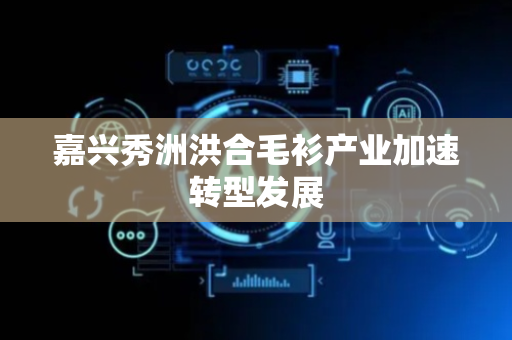 嘉兴秀洲洪合毛衫产业加速转型发展