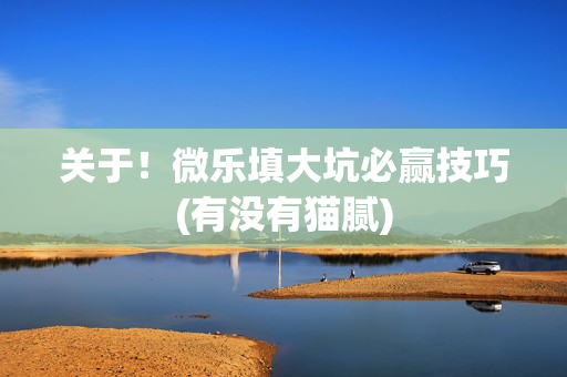 关于！微乐填大坑必赢技巧(有没有猫腻)