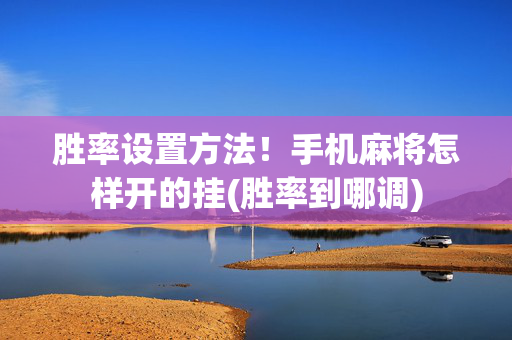 胜率设置方法！手机麻将怎样开的挂(胜率到哪调)