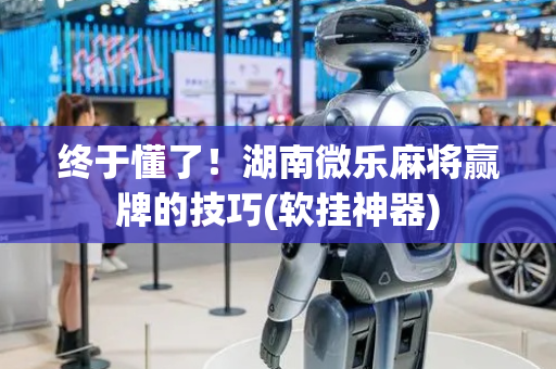 终于懂了！湖南微乐麻将赢牌的技巧(软挂神器)