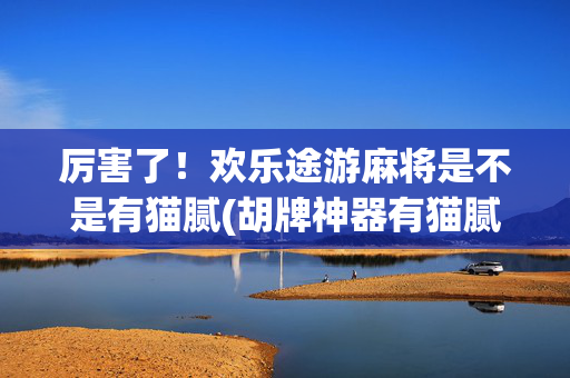 厉害了！欢乐途游麻将是不是有猫腻(胡牌神器有猫腻吗)