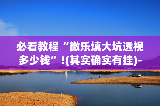 必看教程“微乐填大坑透视多少钱”!(其实确实有挂)-抖音