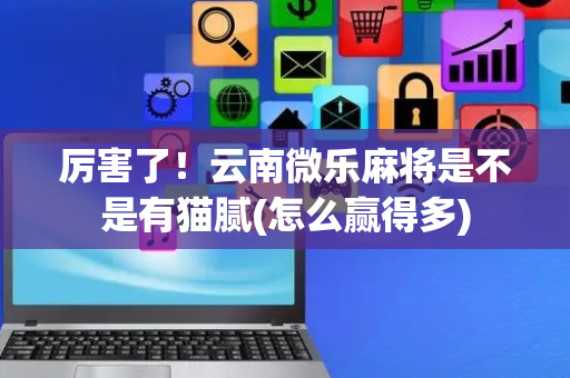 厉害了！云南微乐麻将是不是有猫腻(怎么赢得多)