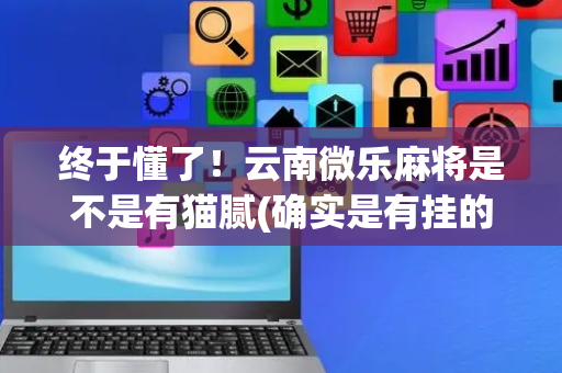 终于懂了！云南微乐麻将是不是有猫腻(确实是有挂的)