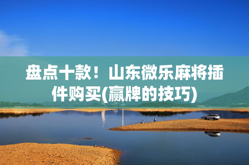 盘点十款！山东微乐麻将插件购买(赢牌的技巧)