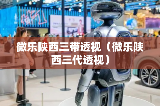 微乐陕西三带透视（微乐陕西三代透视）