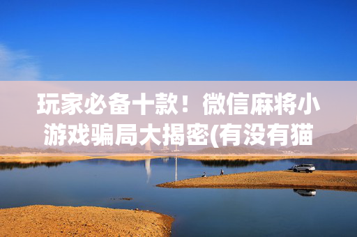 玩家必备十款！微信麻将小游戏骗局大揭密(有没有猫腻)