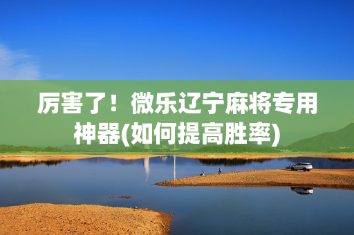 厉害了！微乐辽宁麻将专用神器(如何提高胜率)