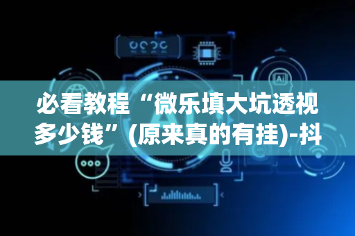 必看教程“微乐填大坑透视多少钱”(原来真的有挂)-抖音