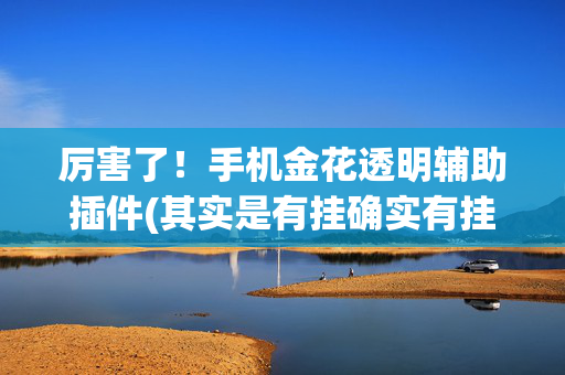 厉害了！手机金花透明辅助插件(其实是有挂确实有挂)
