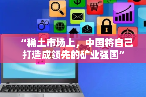 “稀土市场上，中国将自己打造成领先的矿业强国”