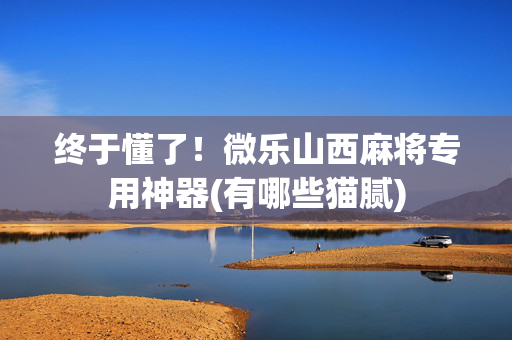 终于懂了！微乐山西麻将专用神器(有哪些猫腻)