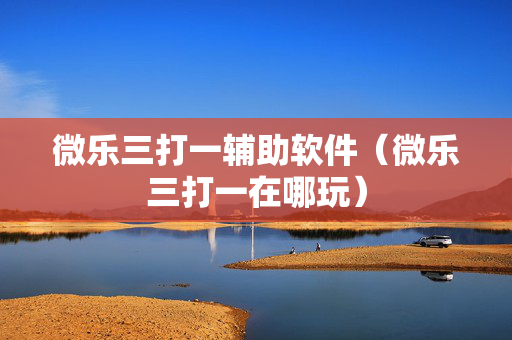 微乐三打一辅助软件（微乐三打一在哪玩）