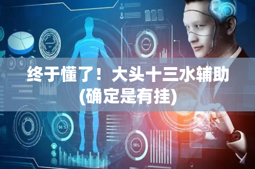 终于懂了！大头十三水辅助(确定是有挂)
