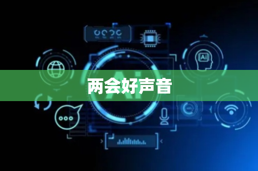 两会好声音