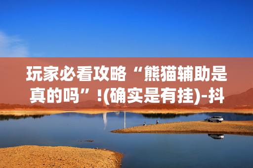 玩家必看攻略“熊猫辅助是真的吗”!(确实是有挂)-抖音