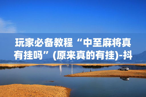 玩家必备教程“中至麻将真有挂吗”(原来真的有挂)-抖音