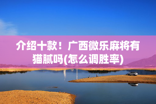 介绍十款！广西微乐麻将有猫腻吗(怎么调胜率)