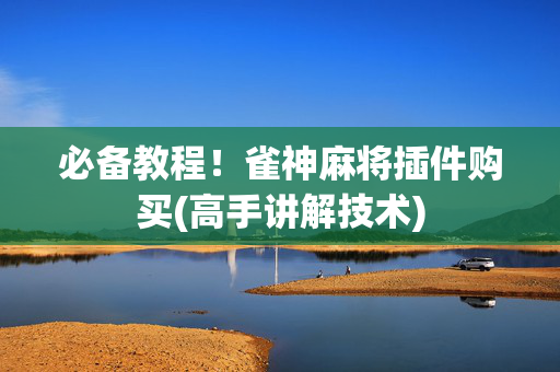 必备教程！雀神麻将插件购买(高手讲解技术)